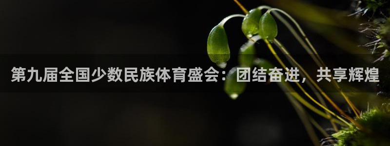 意昂能源