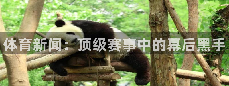 意昂5招商