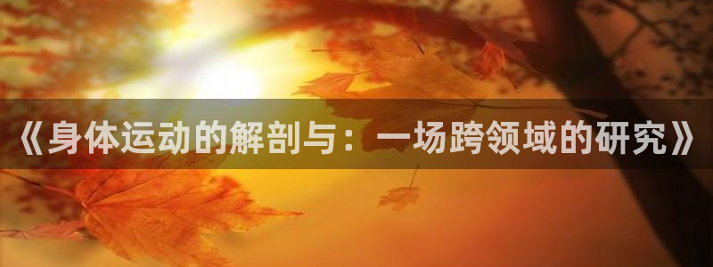 意昂体育f开户
