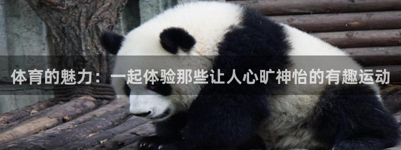 意昂凯捷注册