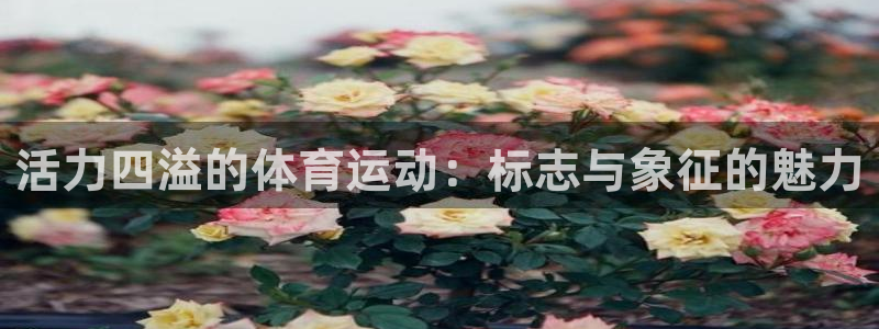 意昂体育代理申请流程