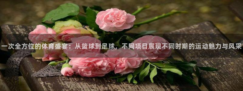 意昂2登录入口