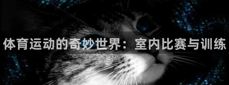 意昂体育凯捷平台注册