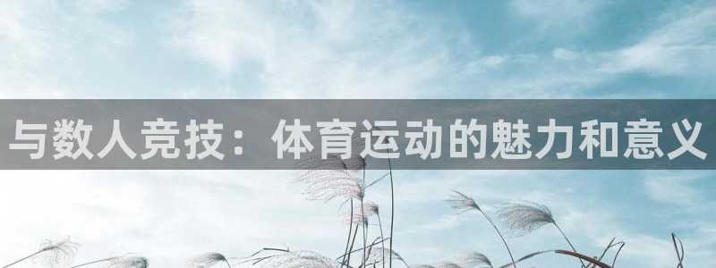 意昂体育和杏耀是哪个公司的