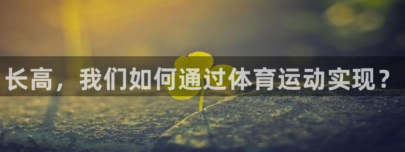 意昂体育官网登录