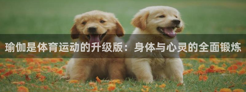 意昂体育官网登录